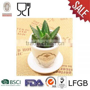 Round Plastic Flower Pot with different color