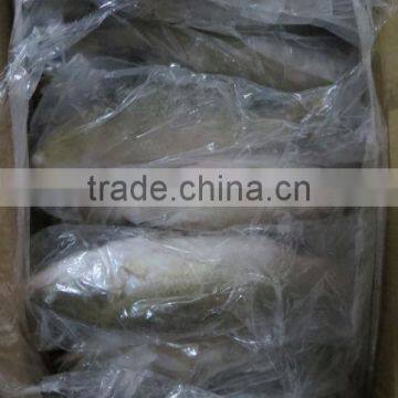 Frozen Sea Bass photo-3