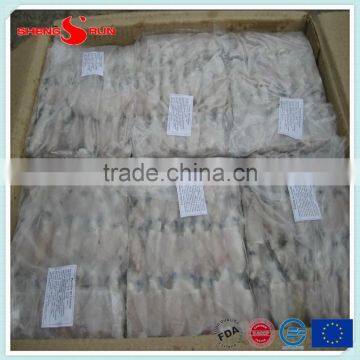 BQF Baby Squid Block Frozen photo-5