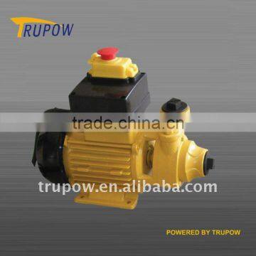 popular type electric oil transfer pump