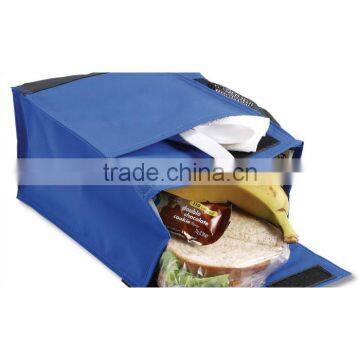 Promotion Insulated Cooler Bag, Lunch Cooler Bag, Picnic Cooler Bag photo-4