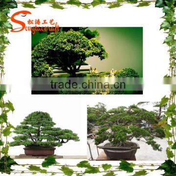 High Quality Life Size Artifical Plant Home Decoration Artifical Bonsai Plants photo-6
