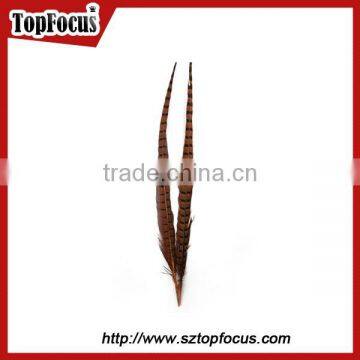 High Quality for Showgirl Carnival Costume Ringneck Tail Pheasant Feathers photo-4