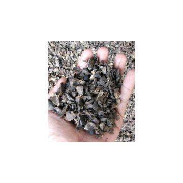 Palm Kernel Shell USA