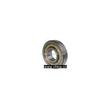 Cylindrical Roller Bearings