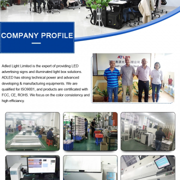 Adled Light Limited company overview - view 1