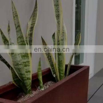 Cube Corten Steel Planter Boxes