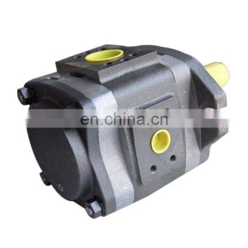 Replace & original gear pump IPVP5-64-101 for high pressure injection molding machine