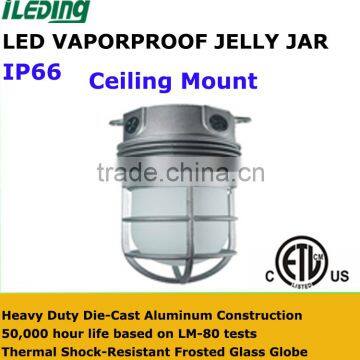 110-277V 12W LED Vaporproof Glass Globe Cast Guard with Ceiling Mount Bracket