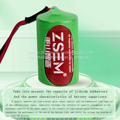 Lithium Battery Combination Power Supply ETC Battery photo-4