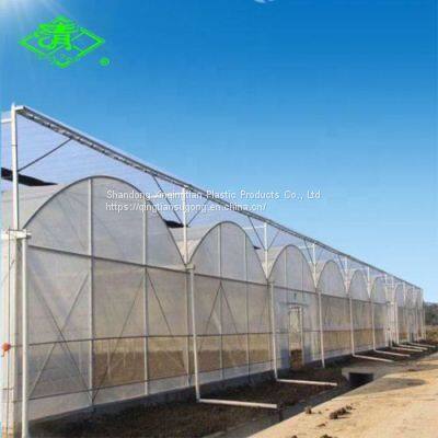 Agriculture Greenhouse Film Tomato And Strawberry Multi Span Dedicated White Po Greenhouse Film photo-3