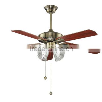 ceiling fan lighting