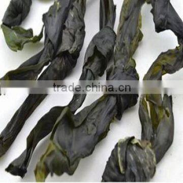 Hot Sale Dried Kombu Seaweed Type Dried Kelp Knot