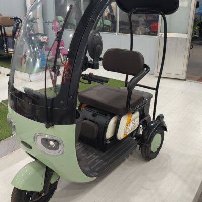 The Newest Awning Electric Tricycle for Cargo No Doors Open Electric Vehicle for 3 Adults With Best Price of China Manufacturer photo-3