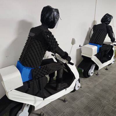 BYD Fake Human and Fake Car Experimental Model Production Factory photo-2