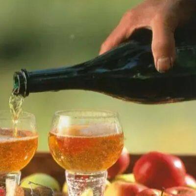 High Efficiency Filtering Machine for Fruit & Vegetable Processing Line