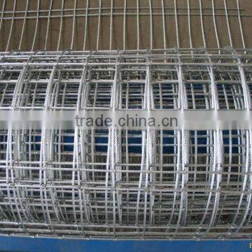 stainless steel welded wire mesh