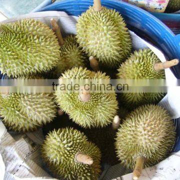 Durian photo-2