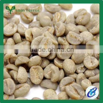 arabica green coffee beans green coffee beans for sale