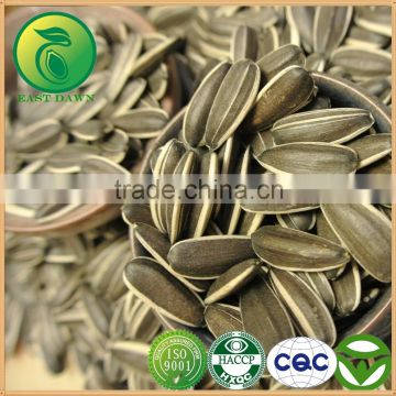 Hot Sale Snack Foods Sunflower Seeds