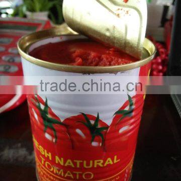 Normal Open Canned Tomato Paste photo-2