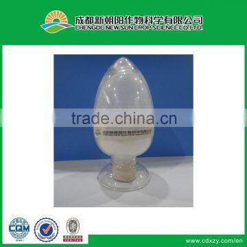 Plant growth regulator 6-Benzylaminopurine / 6-BA / BAP 98% TC