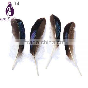 chicken feather for party decoration,