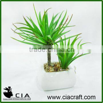 PE Fake Potted Grass Mini Succulent Bonsai for Wholeselling