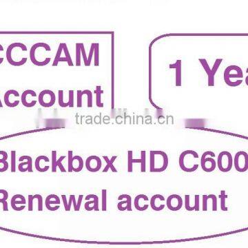 Sell renewal cccam subscription account code with 1 year for Singapore