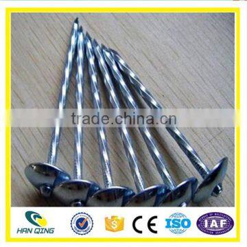 Roofing Nail Factory 3 Inch Electro Galvanized Twisted Shank photo-6