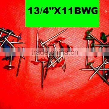 Botswana Market Galvanized Roofing Nail photo-6