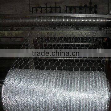 Galvanized Hexagonal Chicken Wire Mesh photo-4