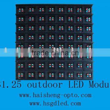 P25 outdoor LED modules