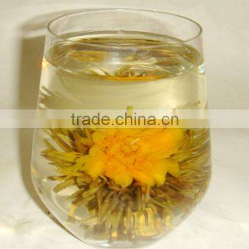 GLF-A123 Marigold Blossom