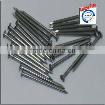 High Quality Common Nail From Anping Nail County