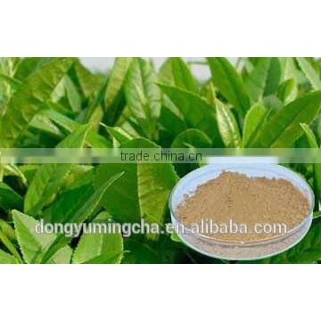 Best Quality and Competitive Price 100% Pure and Natural Organic Green Tea Extract50%-98% photo-5