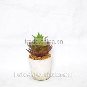 Model artificial succulent for home decoration