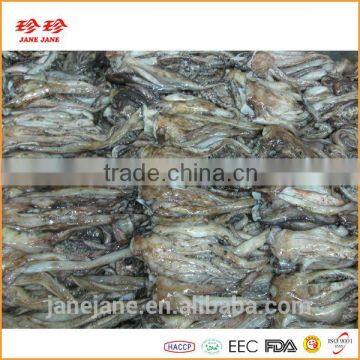 Frozen Squid Tentacle - Ommastrephes Bartrami photo-4