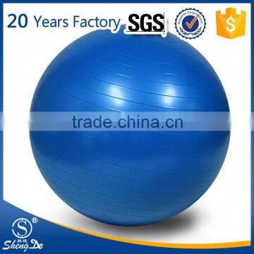 2016 hot inflatable fitness balls,oval exercise ball,exercise stability ball