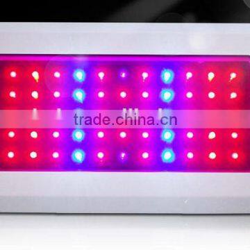 55*3W 680nm LED Grow Light with full spectrum 165W