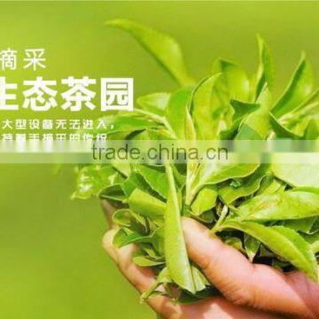 36pcs Different Kinds Flavors Chinese Yunnan Puer Tea pu er Tea Bag Gift Puerh Tea Food Weight Loss Tea photo-6