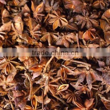 Chinese Star Anise Flower