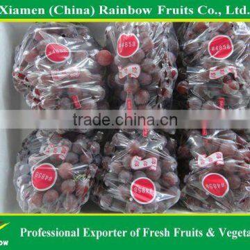 Chinese Fresh Delicious Red Table Globe Grape Wine Grapes photo-2