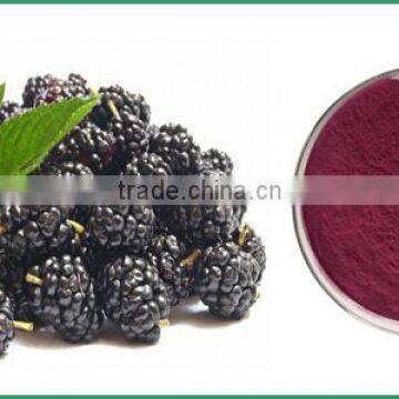 Blackberry Extract 5:1,10:1 and Spray-dried Blackberry Fruit Powder