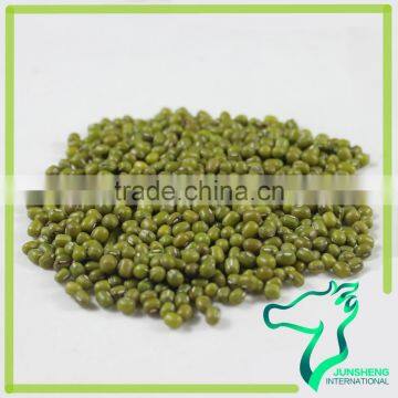 Green Mung Beans Promotional Price photo-3