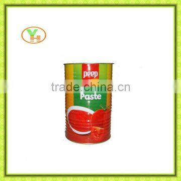 70G-4500G China Hot Sell Canned tomato paste,export canned food