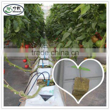 Rock Wool Grow Cube for Plant Hydroponic Agriculture photo-5