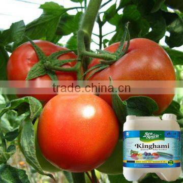 Vigoroot NPK Liquid Fertilizer Organic Fertilizer photo-3