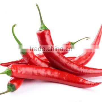 Fresh Chilli- Good quality Spices for cooking