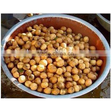 Junlan Machinery Fruit Vegetable Walnut Cleaning Machine +8618637188608 photo-2